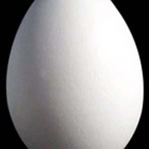 Porexpan huevo pequeño 10 x 7 cm