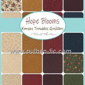 Hope Blooms by Kansas Troubles Quilters